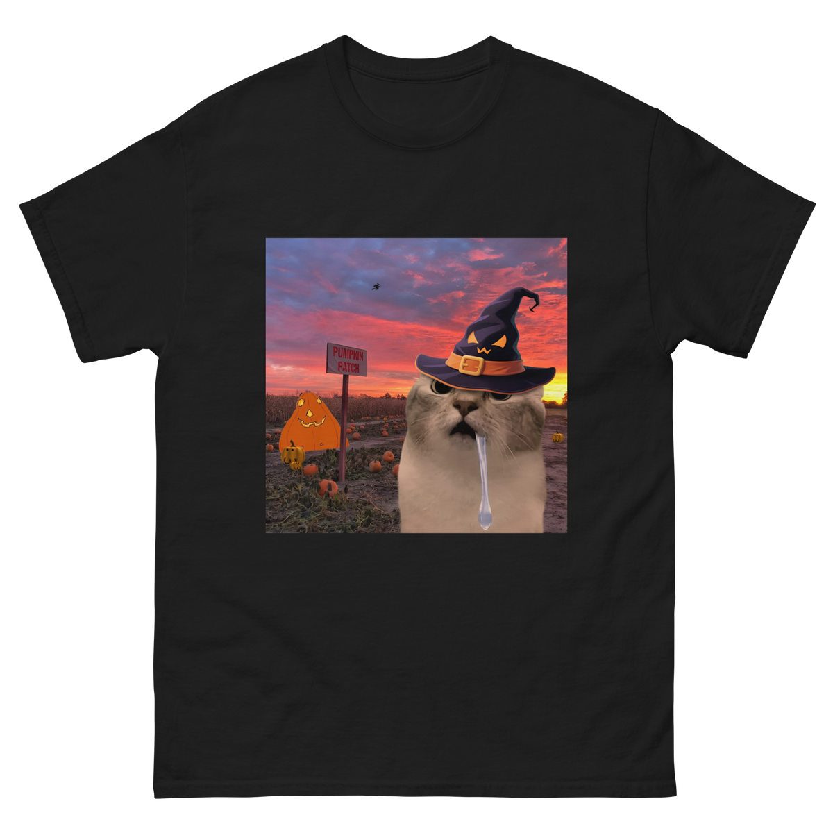 Stupid Halloween Cat